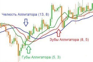 Трендовые индикаторы – выбор для новичка